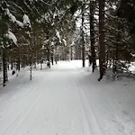 Nyaraló Domcek Michaela *