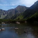 Domcek Michaela *