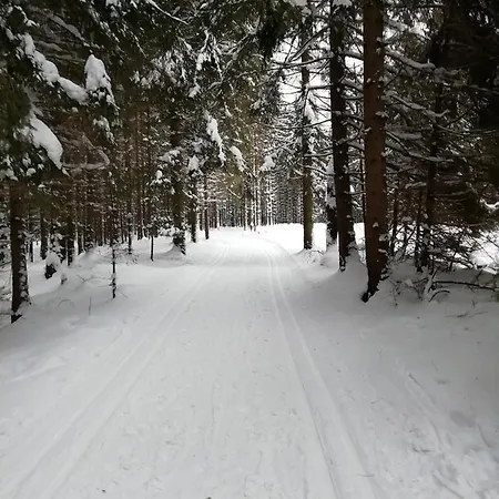 펜션 Domcek Michaela *