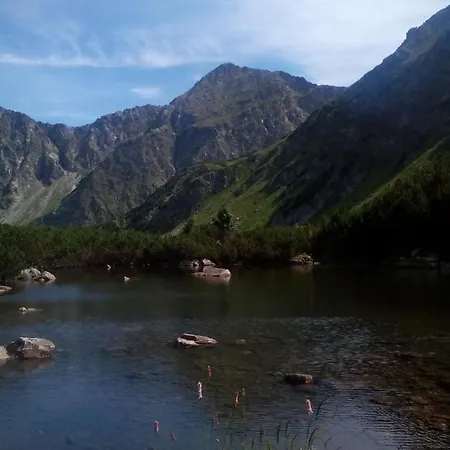 Domcek Michaela *